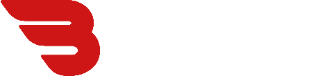 Logo BatidosCar
